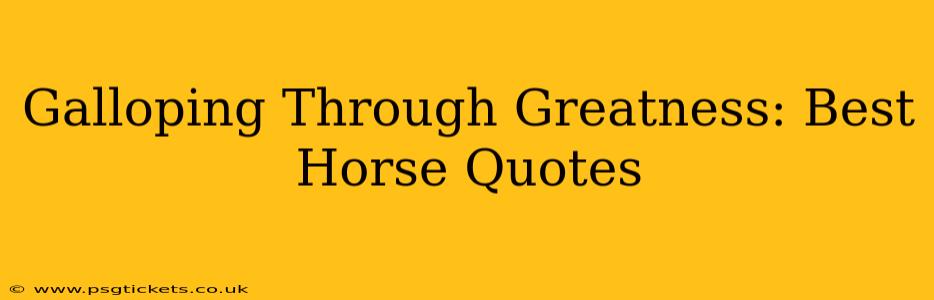 Galloping Through Greatness: Best Horse Quotes