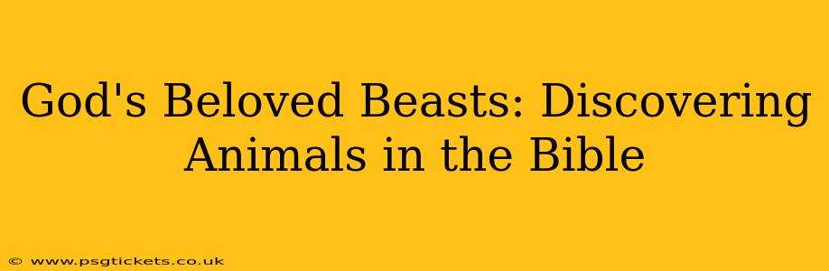 God's Beloved Beasts: Discovering Animals in the Bible