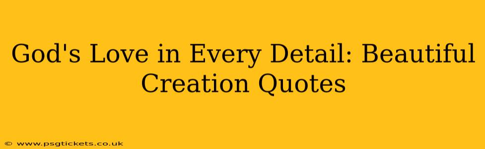 God's Love in Every Detail: Beautiful Creation Quotes