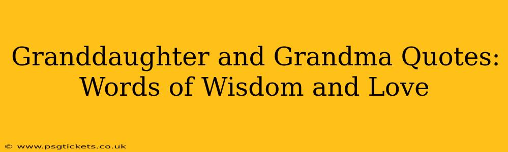 Granddaughter and Grandma Quotes: Words of Wisdom and Love