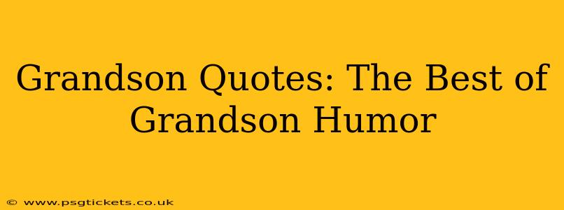 Grandson Quotes: The Best of Grandson Humor