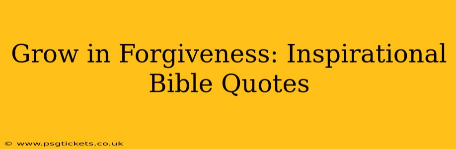 Grow in Forgiveness: Inspirational Bible Quotes
