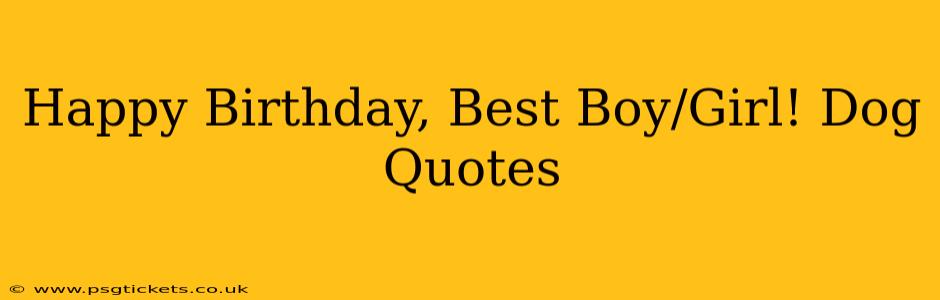 Happy Birthday, Best Boy/Girl! Dog Quotes