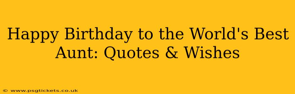 Happy Birthday to the World's Best Aunt: Quotes & Wishes