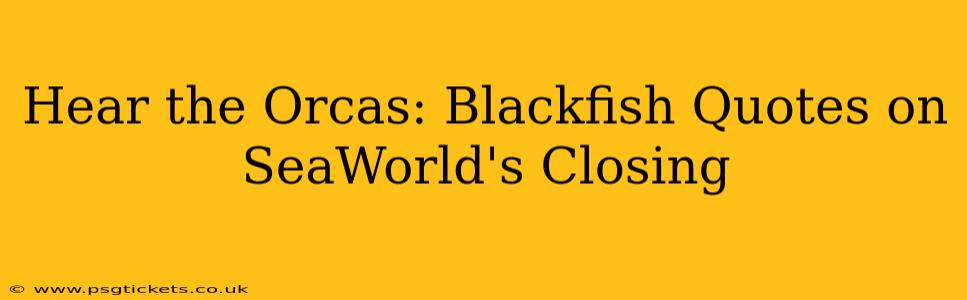 Hear the Orcas: Blackfish Quotes on SeaWorld's Closing