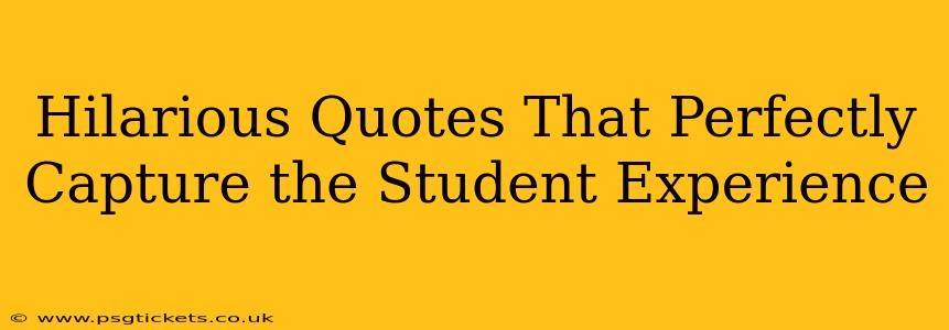 Hilarious Quotes That Perfectly Capture the Student Experience