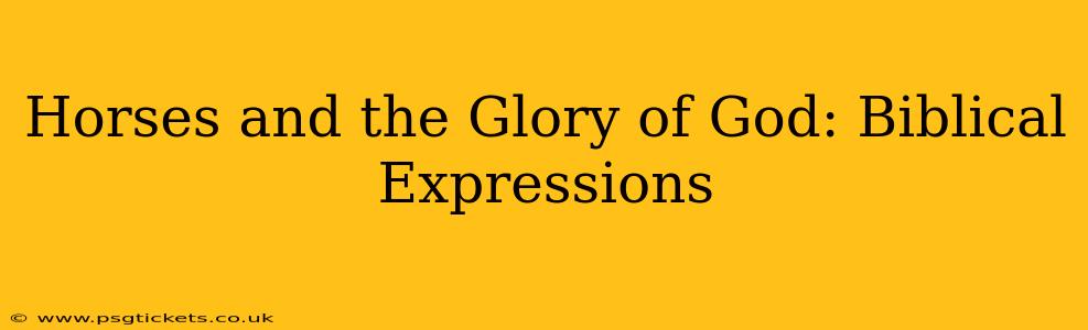 Horses and the Glory of God: Biblical Expressions