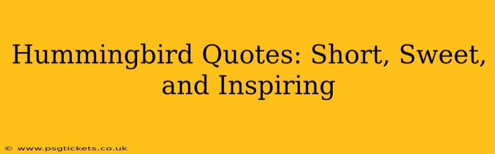 Hummingbird Quotes: Short, Sweet, and Inspiring