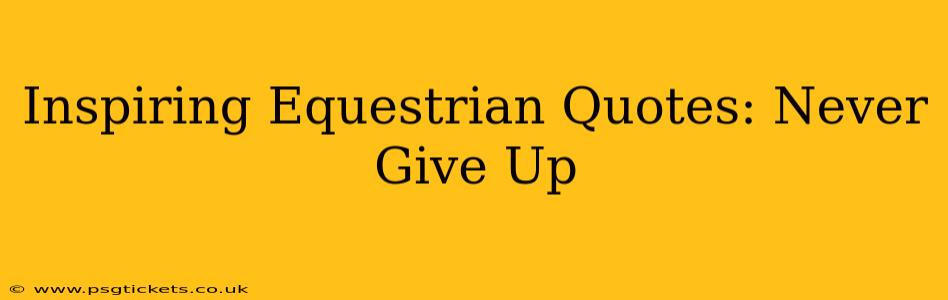 Inspiring Equestrian Quotes: Never Give Up