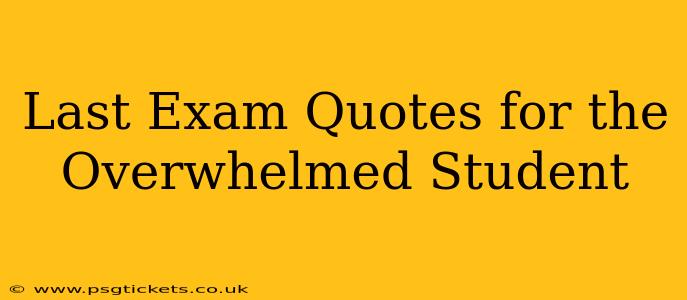 Last Exam Quotes for the Overwhelmed Student