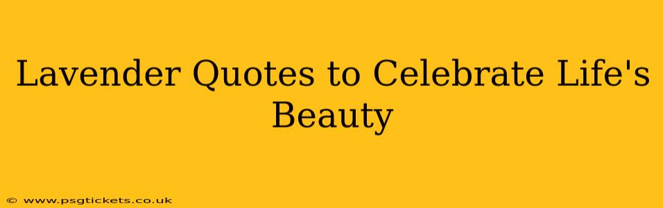 Lavender Quotes to Celebrate Life's Beauty