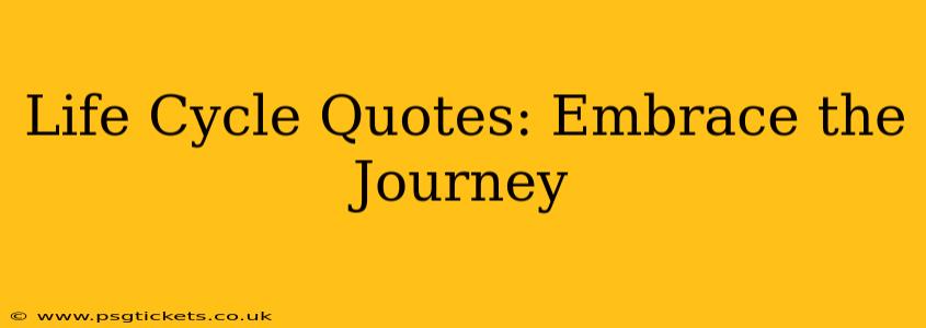 Life Cycle Quotes: Embrace the Journey