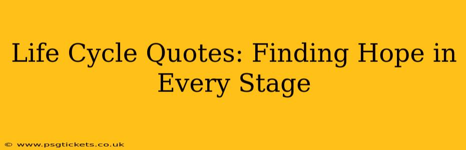 Life Cycle Quotes: Finding Hope in Every Stage