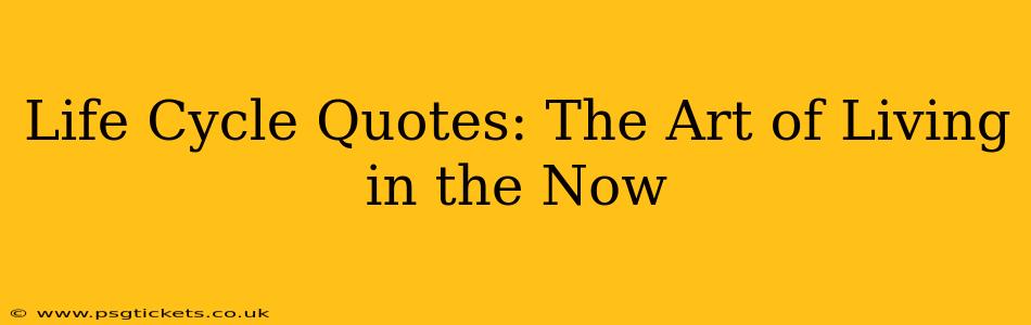 Life Cycle Quotes: The Art of Living in the Now