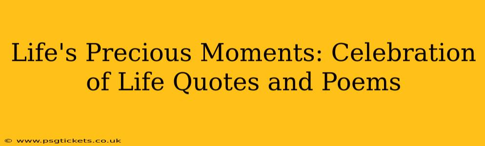 Life's Precious Moments: Celebration of Life Quotes and Poems