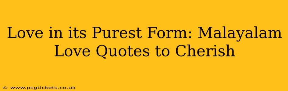 Love in its Purest Form: Malayalam Love Quotes to Cherish
