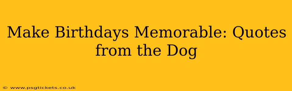 Make Birthdays Memorable: Quotes from the Dog