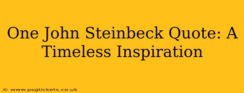 One John Steinbeck Quote: A Timeless Inspiration