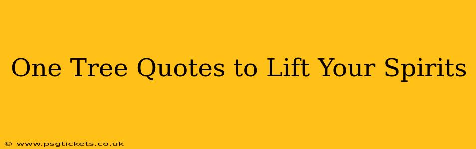 One Tree Quotes to Lift Your Spirits