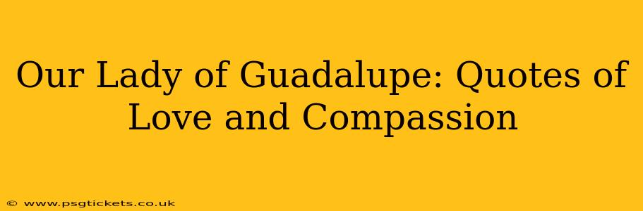 Our Lady of Guadalupe: Quotes of Love and Compassion