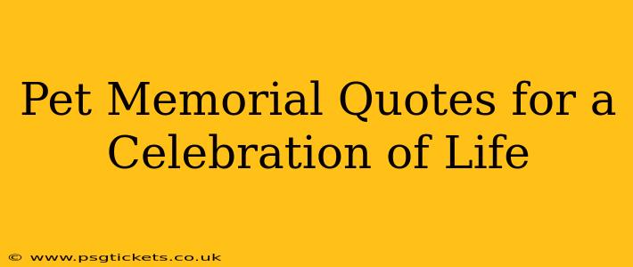Pet Memorial Quotes for a Celebration of Life