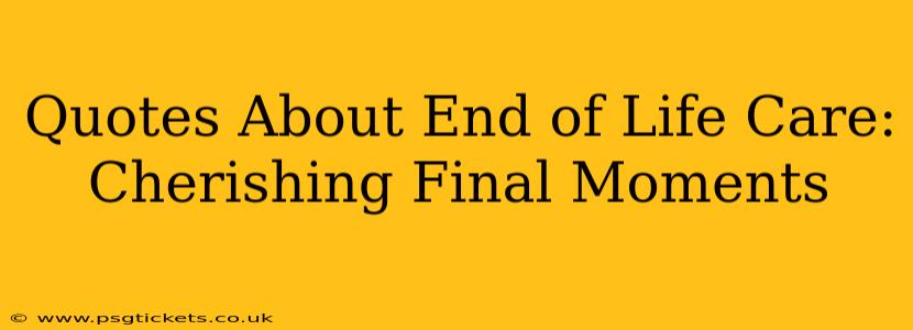 Quotes About End of Life Care:  Cherishing Final Moments