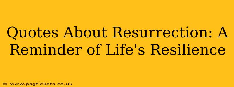 Quotes About Resurrection: A Reminder of Life's Resilience