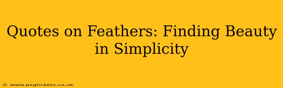 Quotes on Feathers: Finding Beauty in Simplicity