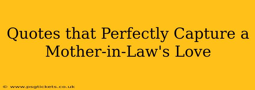 Quotes that Perfectly Capture a Mother-in-Law's Love