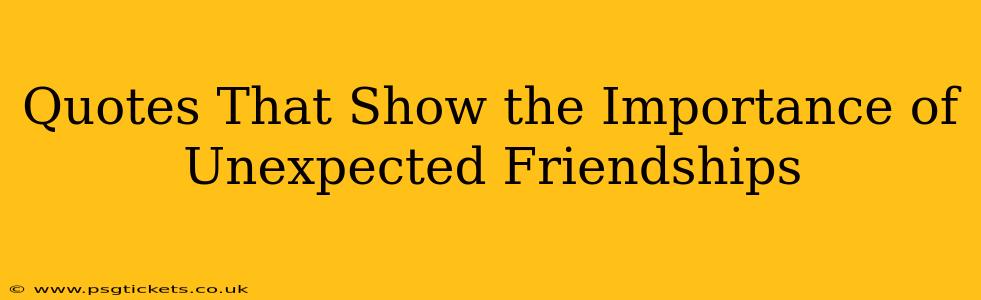 Quotes That Show the Importance of Unexpected Friendships