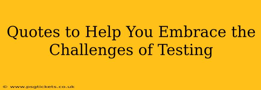 Quotes to Help You Embrace the Challenges of Testing