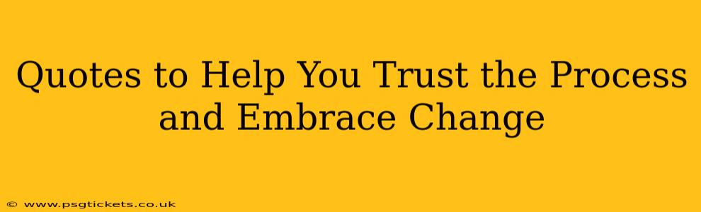 Quotes to Help You Trust the Process and Embrace Change