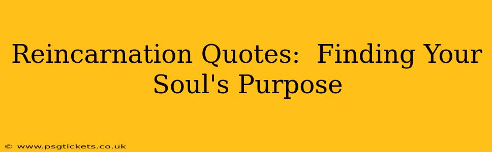Reincarnation Quotes:  Finding Your Soul's Purpose