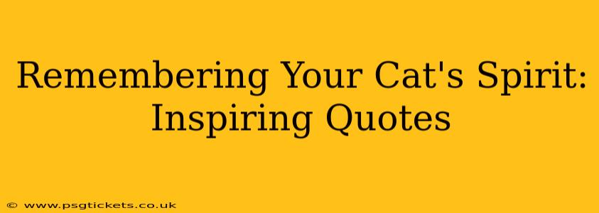 Remembering Your Cat's Spirit: Inspiring Quotes