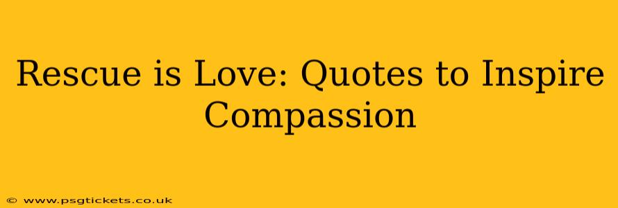 Rescue is Love: Quotes to Inspire Compassion
