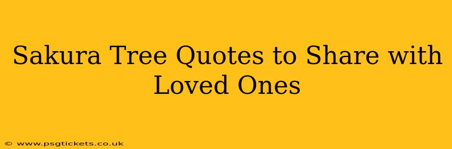 Sakura Tree Quotes to Share with Loved Ones