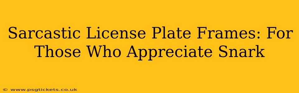 Sarcastic License Plate Frames: For Those Who Appreciate Snark