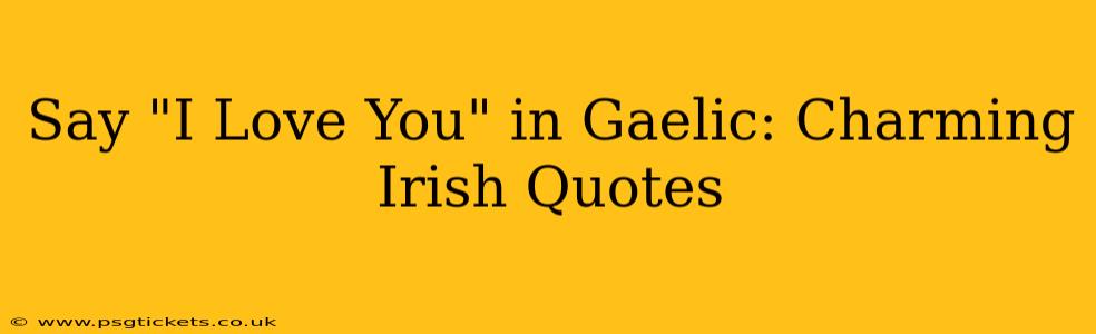 Say "I Love You" in Gaelic: Charming Irish Quotes