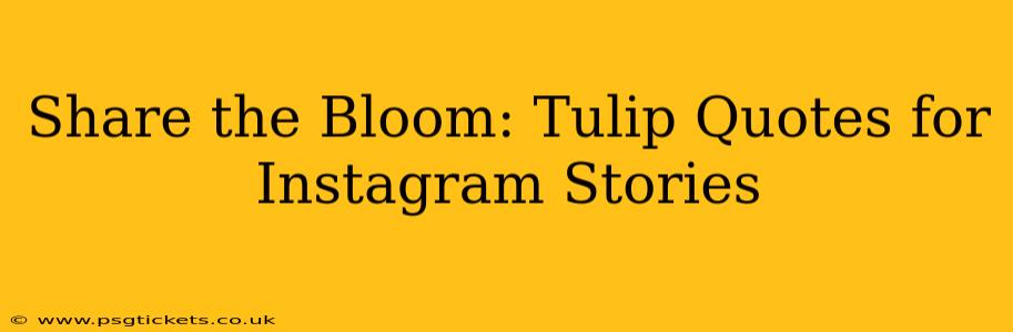Share the Bloom: Tulip Quotes for Instagram Stories