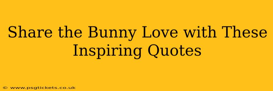 Share the Bunny Love with These Inspiring Quotes