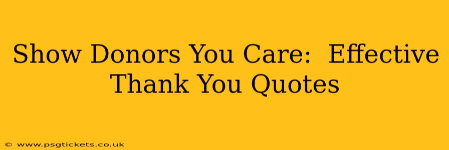 Show Donors You Care:  Effective Thank You Quotes