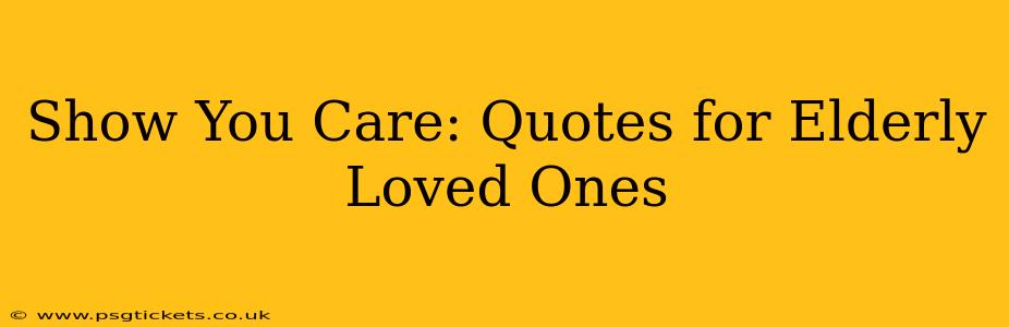 Show You Care: Quotes for Elderly Loved Ones