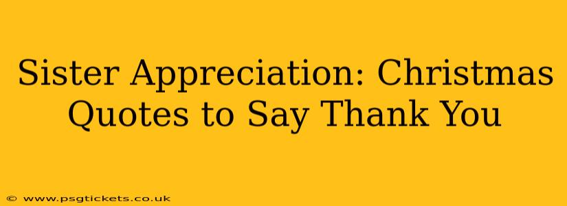 Sister Appreciation: Christmas Quotes to Say Thank You