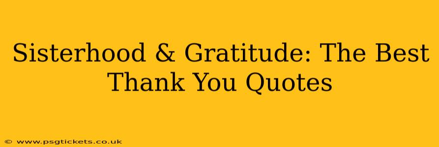 Sisterhood & Gratitude: The Best Thank You Quotes