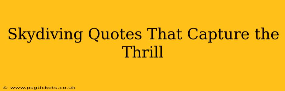 Skydiving Quotes That Capture the Thrill