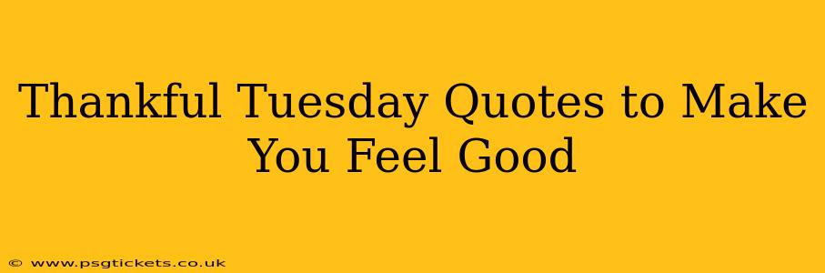Thankful Tuesday Quotes to Make You Feel Good