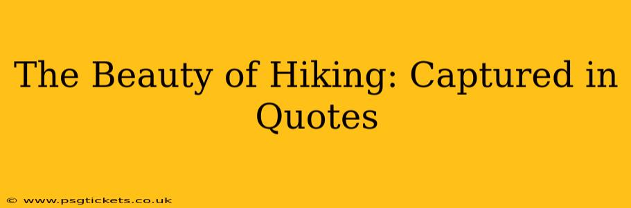 The Beauty of Hiking: Captured in Quotes