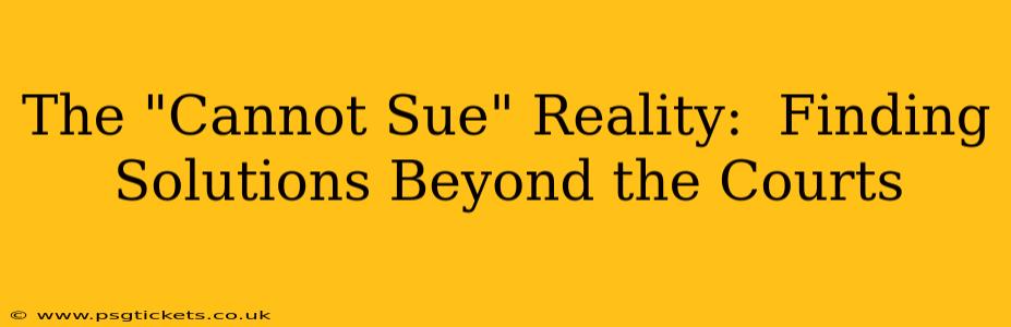 The "Cannot Sue" Reality:  Finding Solutions Beyond the Courts