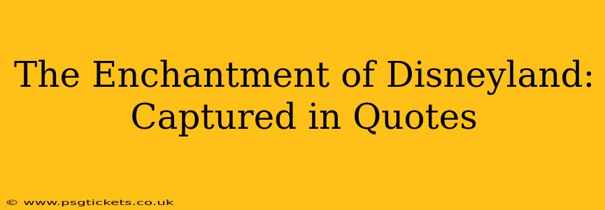 The Enchantment of Disneyland: Captured in Quotes
