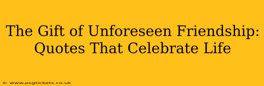 The Gift of Unforeseen Friendship: Quotes That Celebrate Life